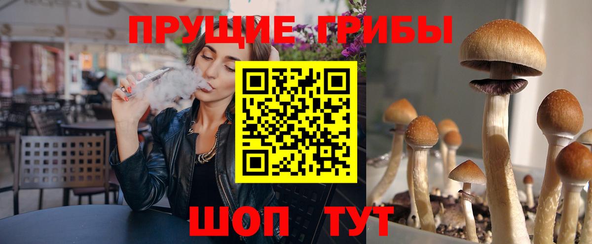 Псилоцибиновые грибы Magic Shrooms  Вход с VPN  Кирово-Чепецк  Псилоцибиновые грибы GOLDEN TEACHER 
