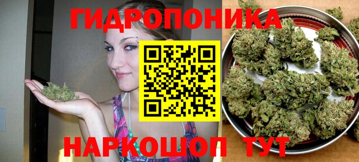 Конопля сатива  Конопля тримм  Каннабис OG Kush  Канабис гибрид  Вход с VPN  Кирово-Чепецк 